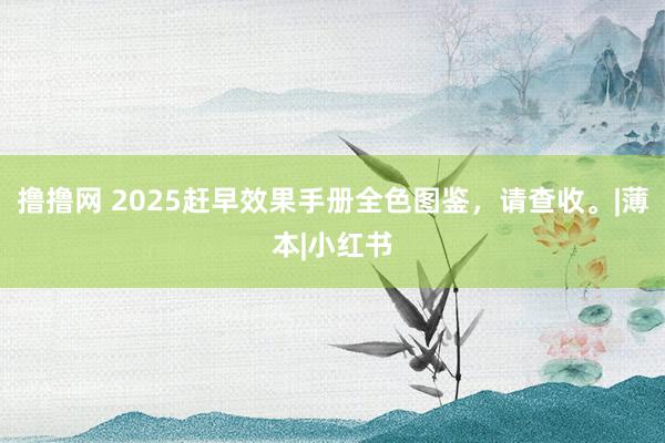 撸撸网 2025赶早效果手册全色图鉴，请查收。|薄本|小红书