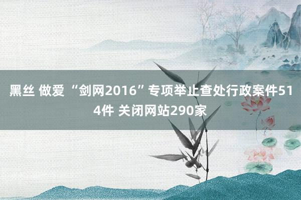 黑丝 做爱 “剑网2016”专项举止查处行政案件514件 关闭网站290家