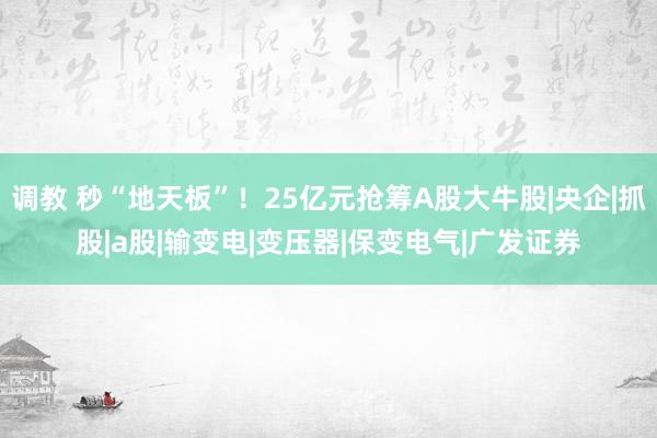 调教 秒“地天板”！25亿元抢筹A股大牛股|央企|抓股|a股|输变电|变压器|保变电气|广发证券