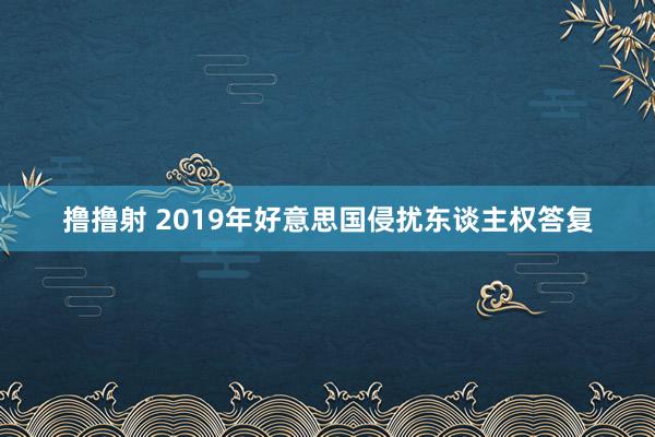 撸撸射 2019年好意思国侵扰东谈主权答复