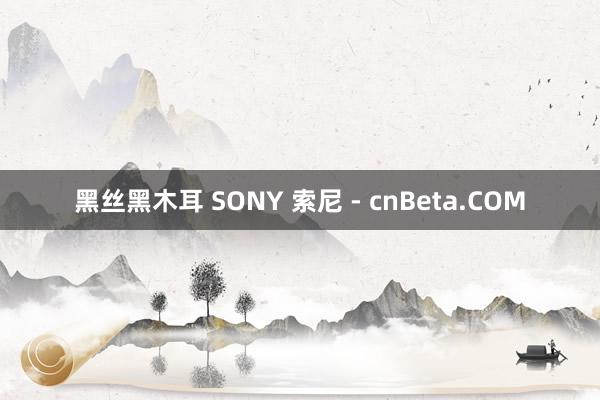 黑丝黑木耳 SONY 索尼 - cnBeta.COM