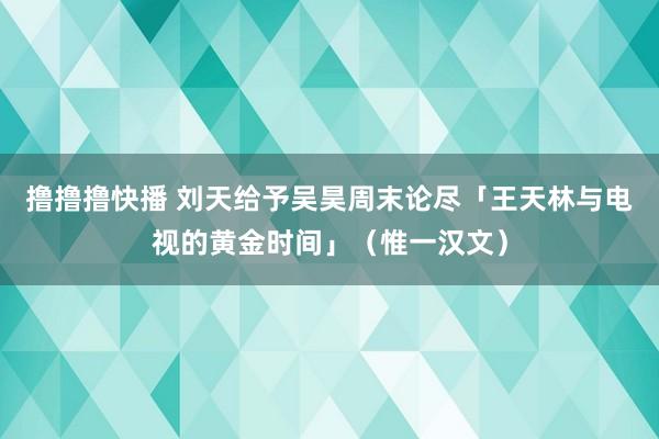 撸撸撸快播 刘天给予吴昊周末论尽「王天林与电视的黄金时间」（惟一汉文）