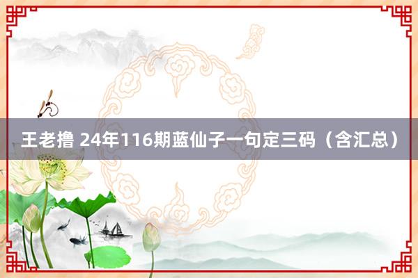 王老撸 24年116期蓝仙子一句定三码（含汇总）