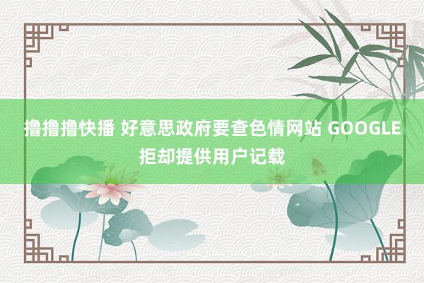 撸撸撸快播 好意思政府要查色情网站 GOOGLE拒却提供用户记载