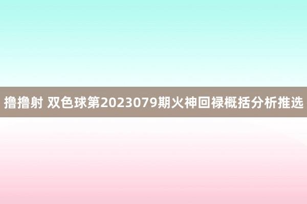 撸撸射 双色球第2023079期火神回禄概括分析推选