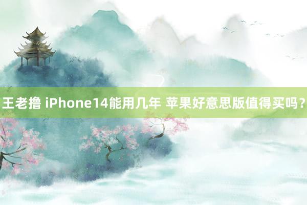 王老撸 iPhone14能用几年 苹果好意思版值得买吗？