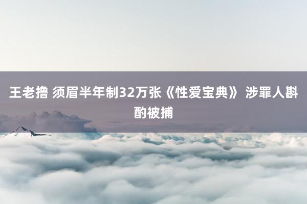 王老撸 须眉半年制32万张《性爱宝典》 涉罪人斟酌被捕