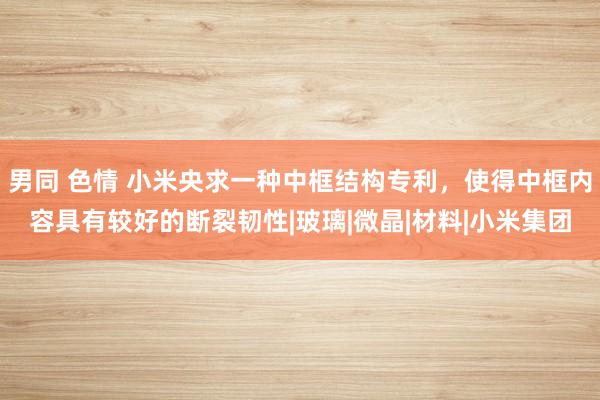 男同 色情 小米央求一种中框结构专利，使得中框内容具有较好的断裂韧性|玻璃|微晶|材料|小米集团