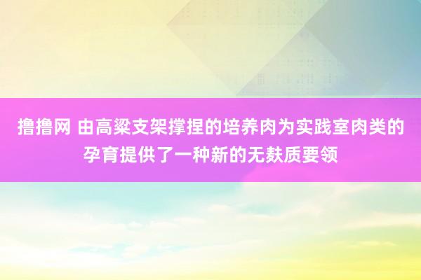 撸撸网 由高粱支架撑捏的培养肉为实践室肉类的孕育提供了一种新的无麸质要领