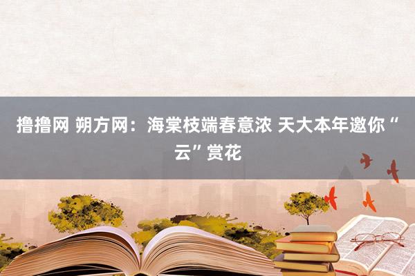 撸撸网 朔方网：海棠枝端春意浓 天大本年邀你“云”赏花