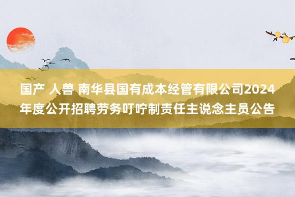 国产 人兽 南华县国有成本经管有限公司2024年度公开招聘劳务叮咛制责任主说念主员公告