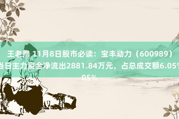 王老撸 11月8日股市必读：宝丰动力（600989）当日主力资金净流出2881.84万元，占总成交额6.05%