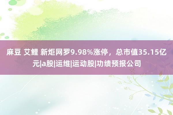 麻豆 艾鲤 新炬网罗9.98%涨停，总市值35.15亿元|a股|运维|运动股|功绩预报公司