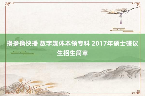 撸撸撸快播 数字媒体本领专科 2017年硕士磋议生招生简章