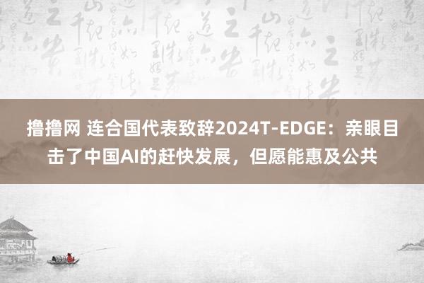 撸撸网 连合国代表致辞2024T-EDGE：亲眼目击了中国AI的赶快发展，但愿能惠及公共