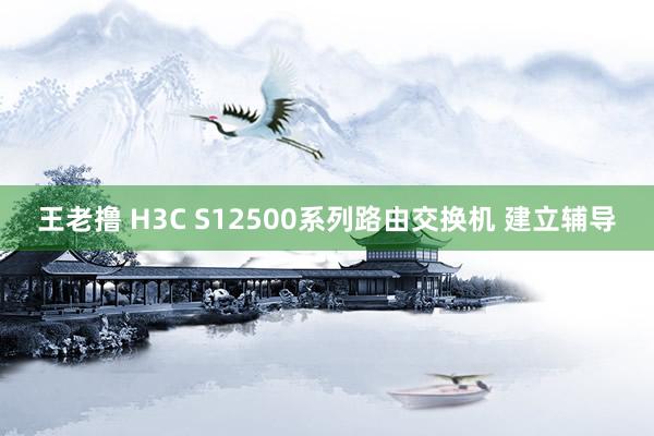 王老撸 H3C S12500系列路由交换机 建立辅导